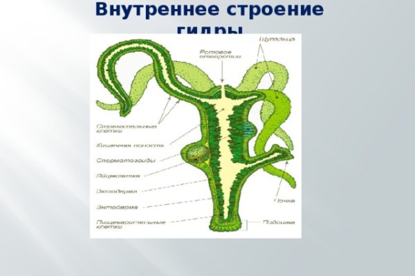 Кракен торговая площадка даркнет